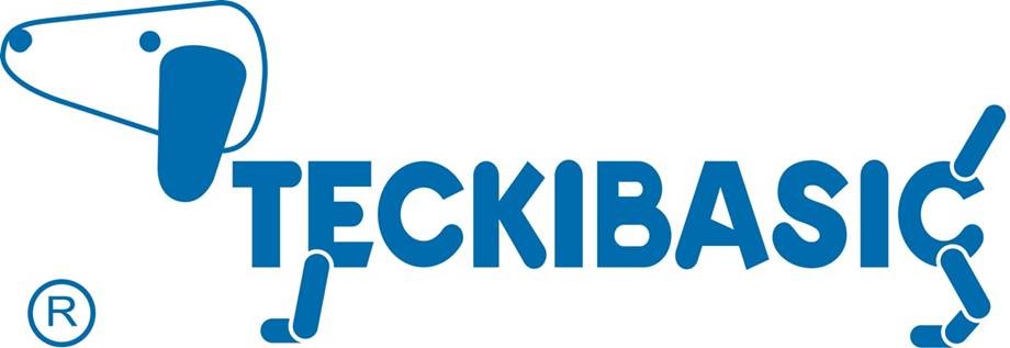 Logo Teckibasic Cachemire